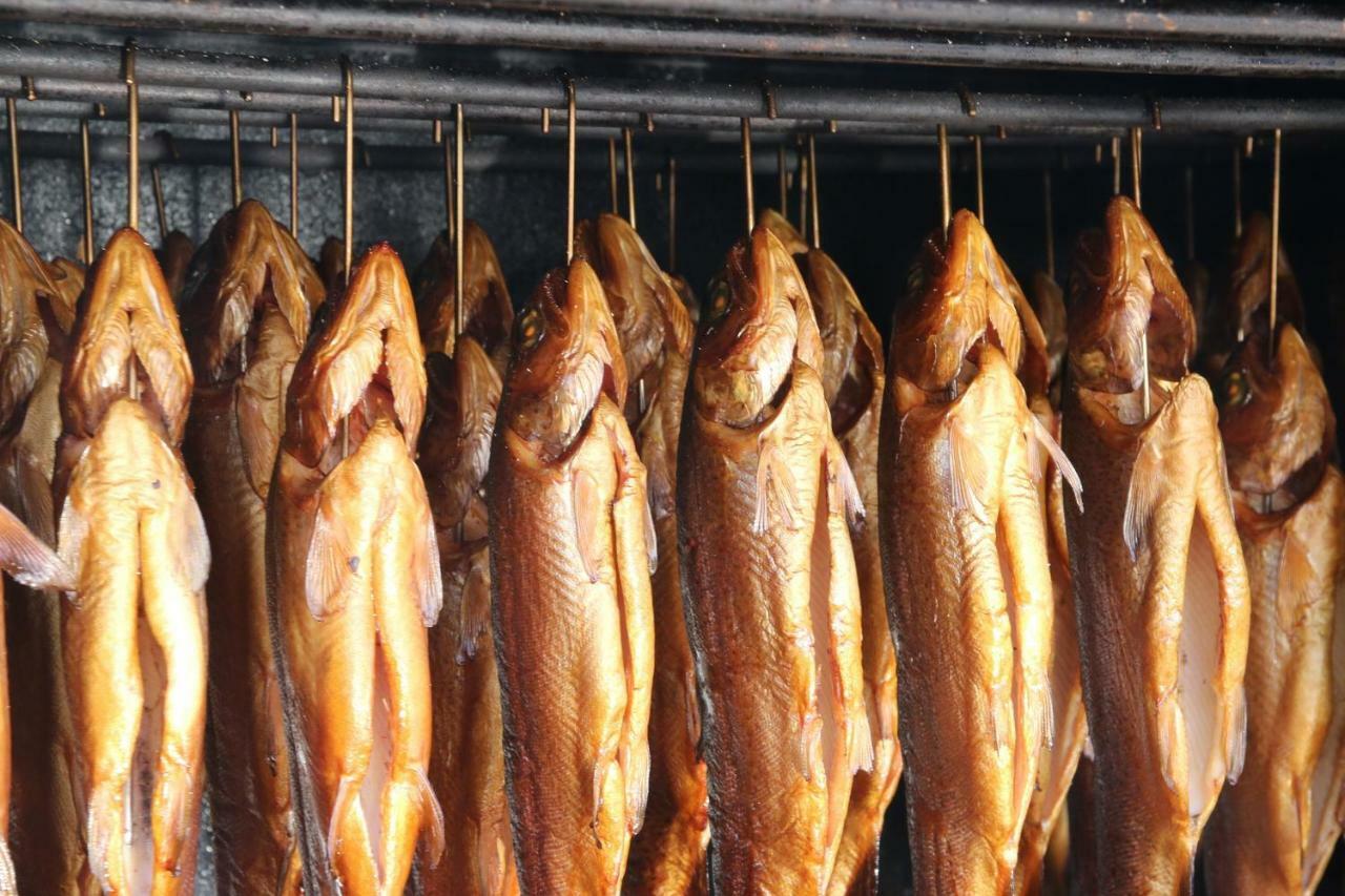 Folwark Tumiany Pokoje & Restauracja Εξωτερικό φωτογραφία